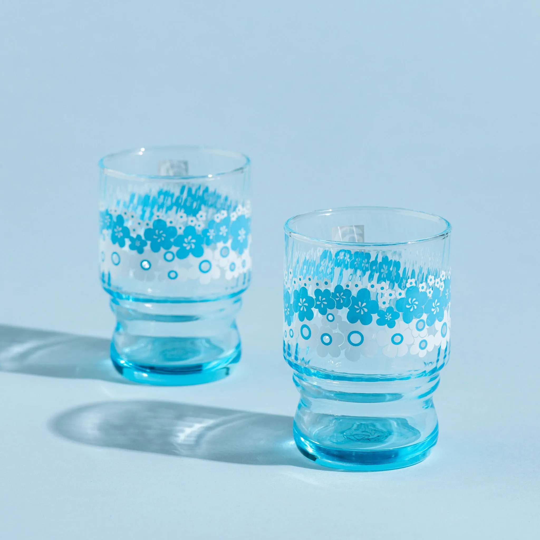 Aderia Retro Set of 2 Tumblers - Blue Flower