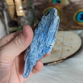 Gemmy Blue Kyanite in Matrix