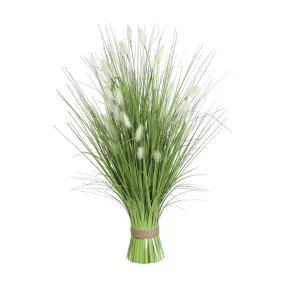 Green Bristle Grass - 70cm