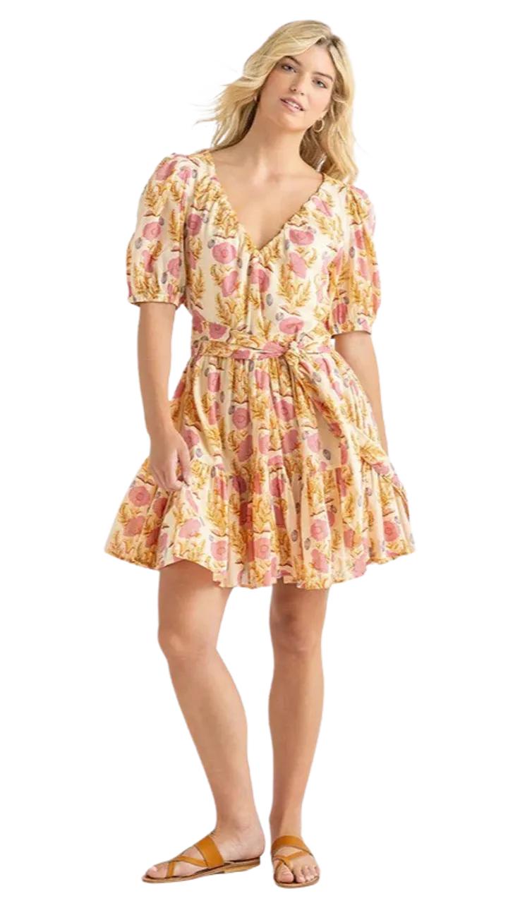 Pink Chicken Emily Dress, Pink Gilded Floral