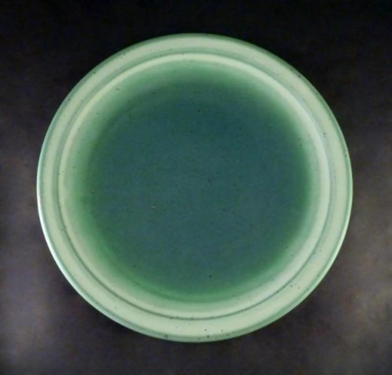 Smith - Dinner Plate (Light Green)