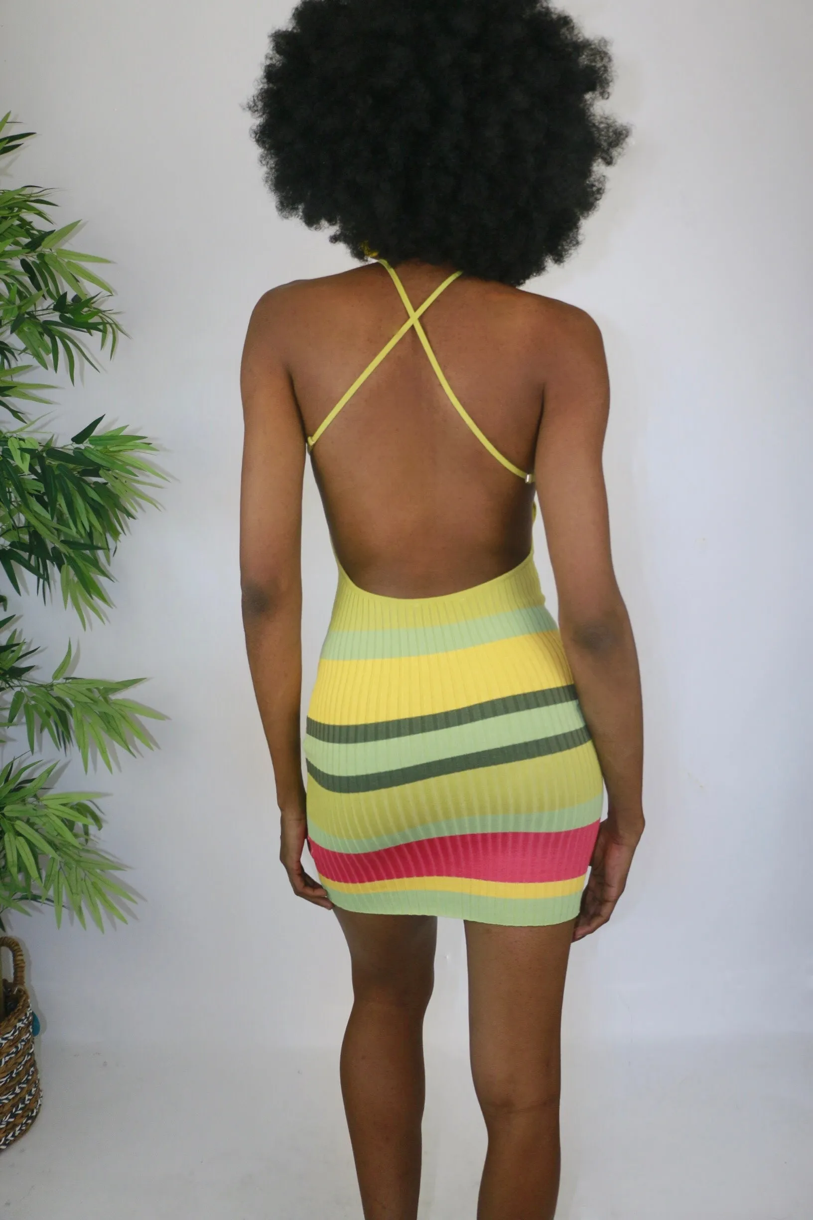 St. Lucia Mini Dress