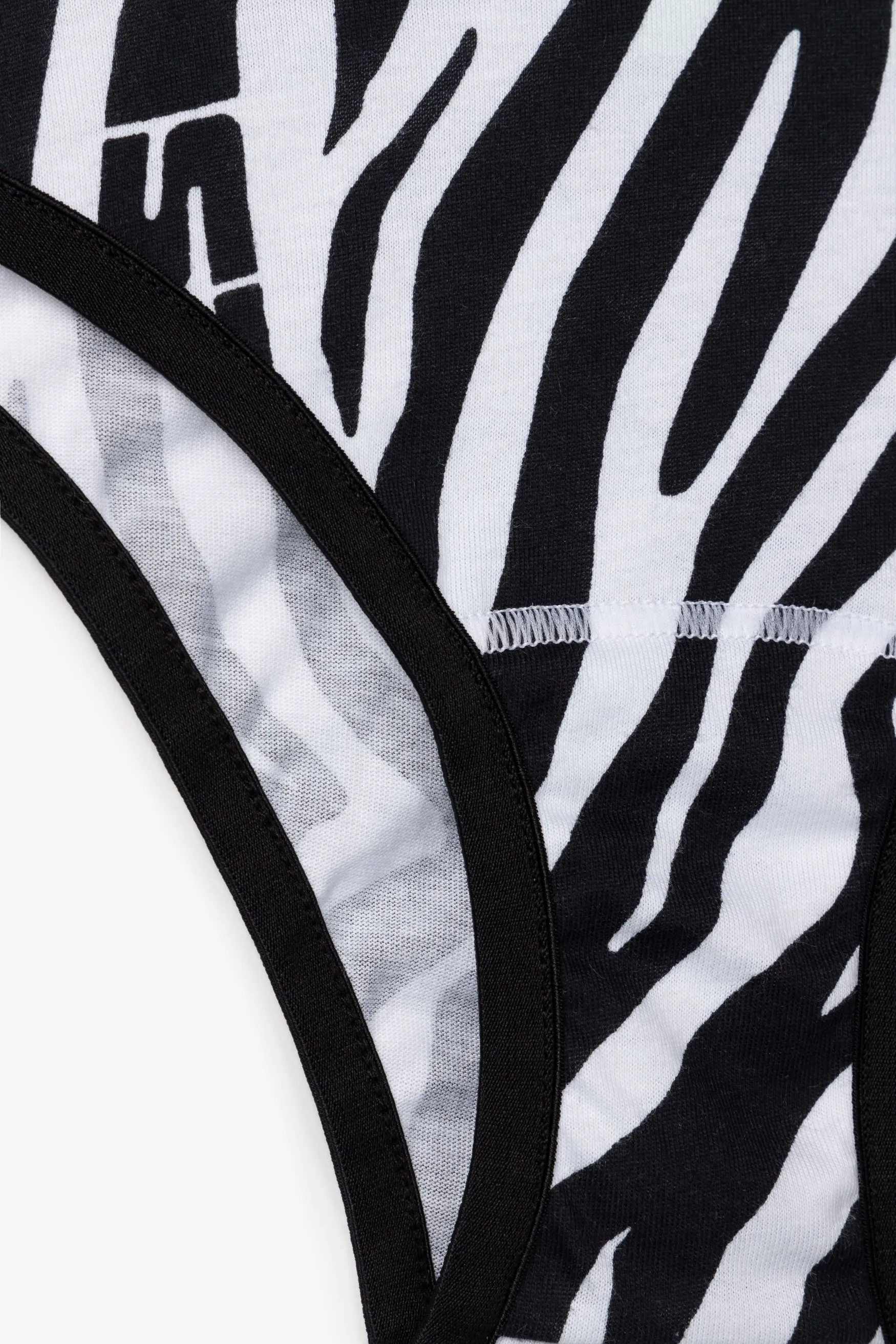 Zebra Briefs